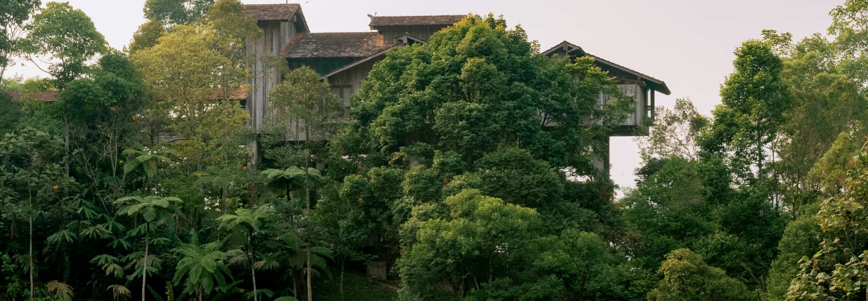 TANARIMBA, Janda Baik