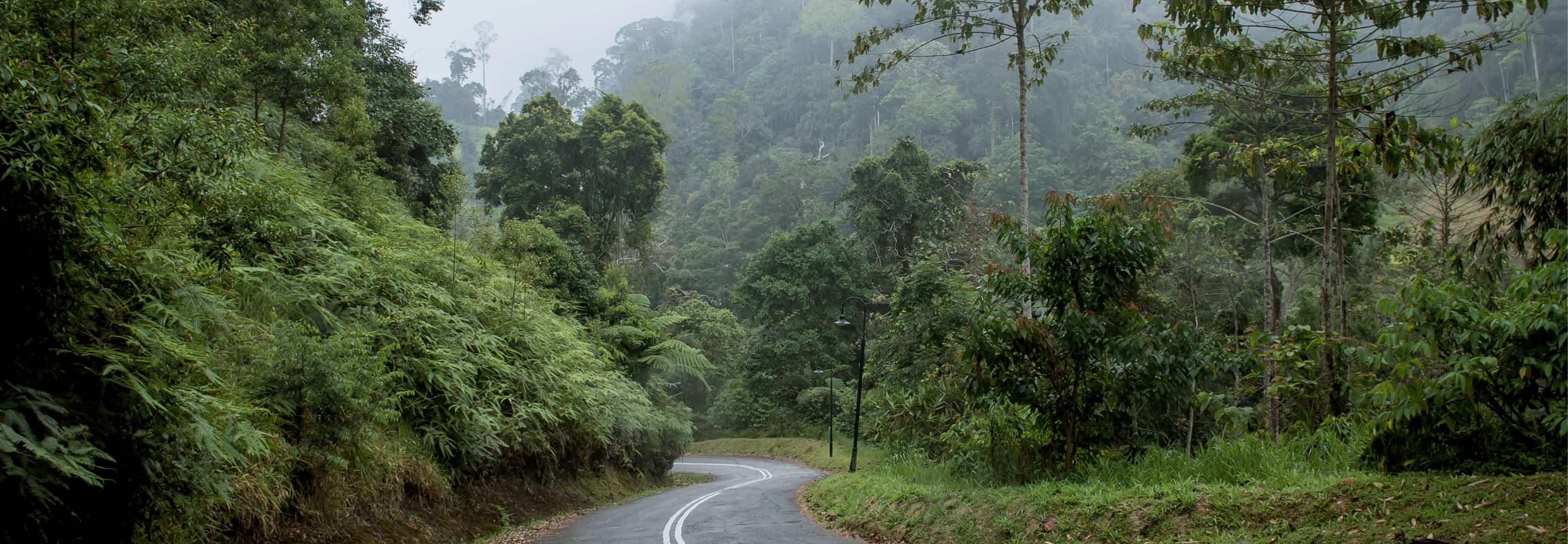 TANARIMBA, Janda Baik