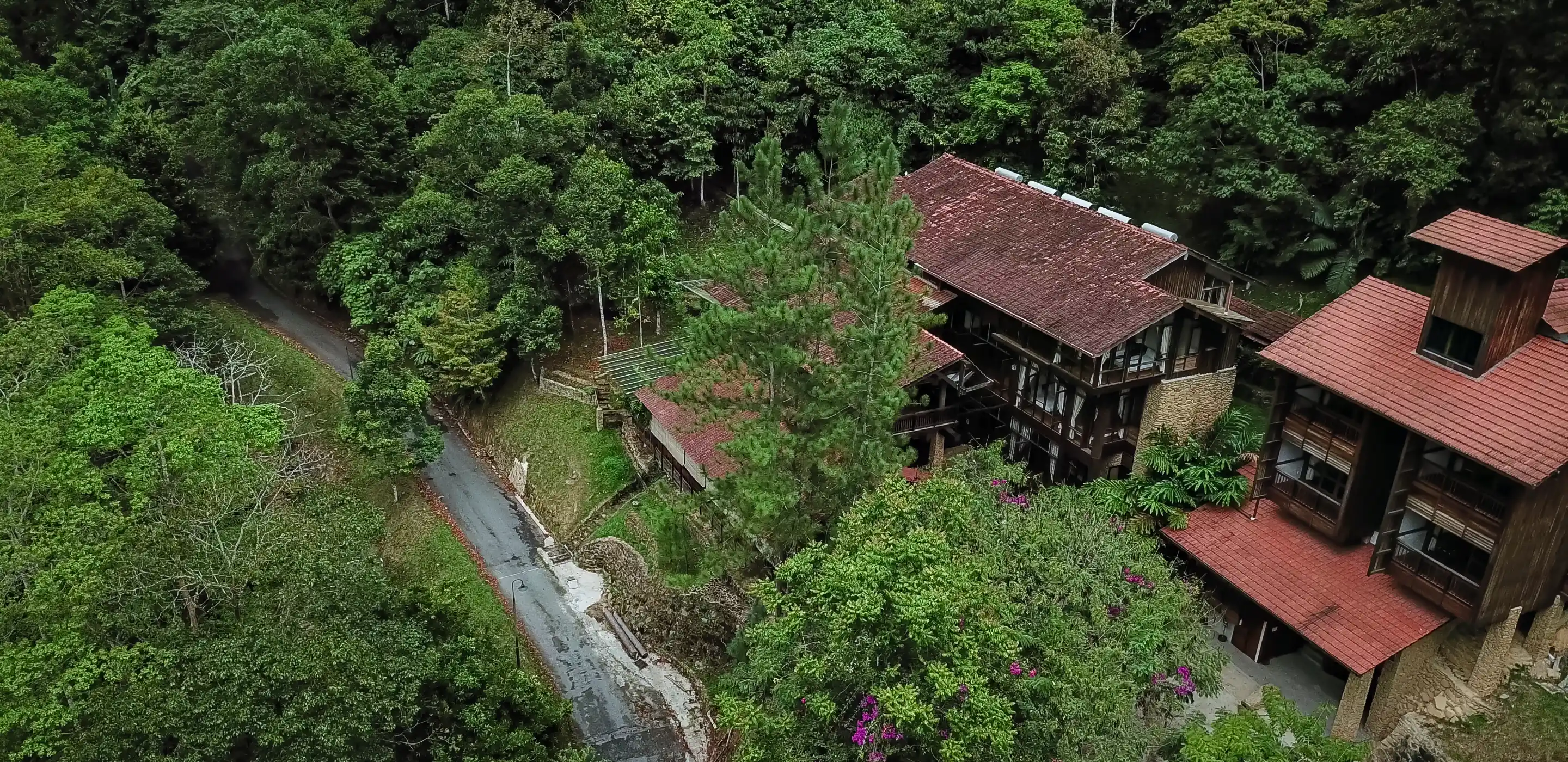 TANARIMBA, Janda Baik